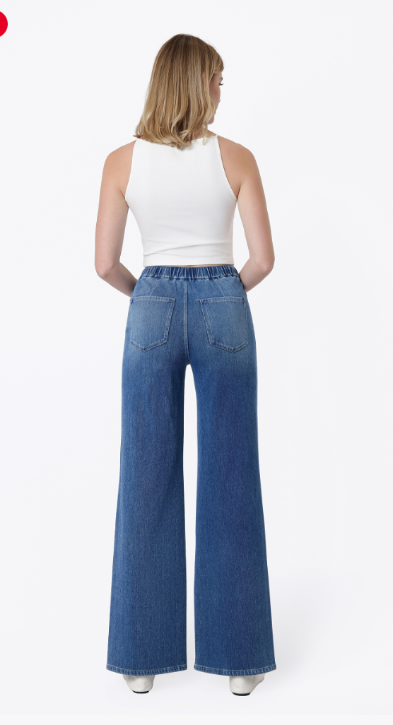Vervet High Rise Vintage Flare Jeans